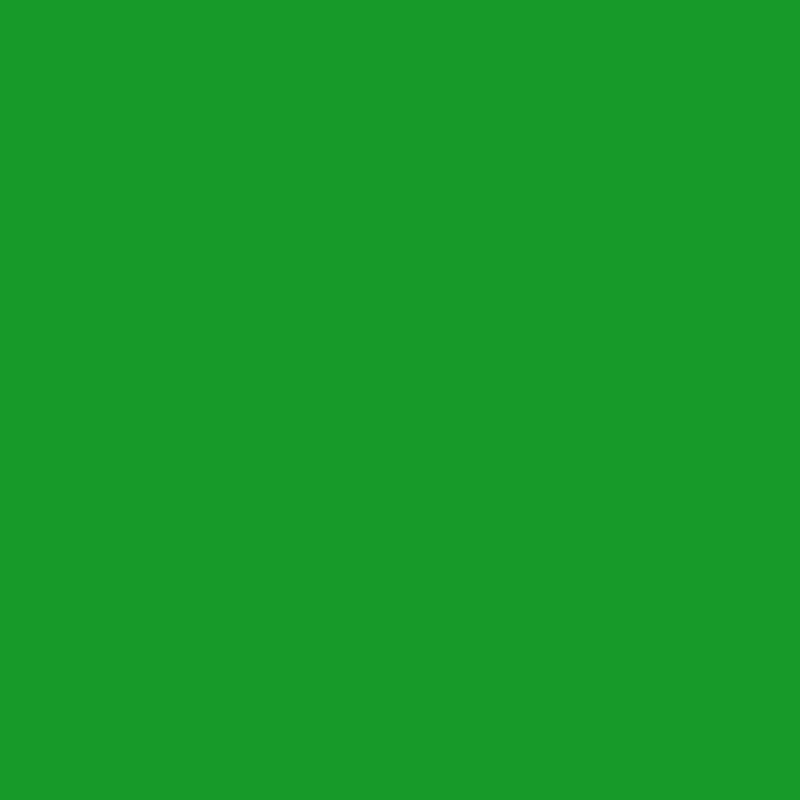 2032-10 Neon Green