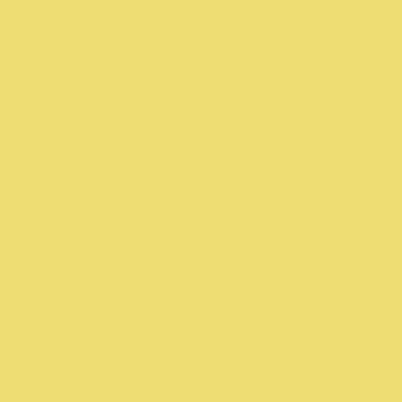 2024-40 Yellow Finch